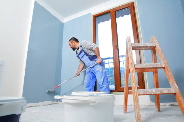 Professional Mold Removal in Woodville, OH