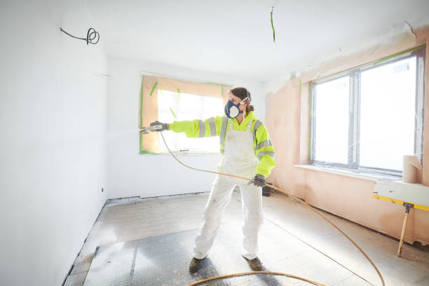 Best Mold Damage Restoration  in Woodville, OH