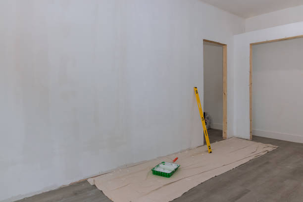 Biohazard Mold Removal in Woodville, OH