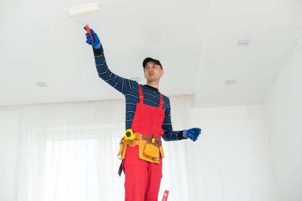 Best Mold Remediation for Rental Properties  in Woodville, OH