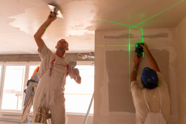 Best Biohazard Mold Removal  in Woodville, OH