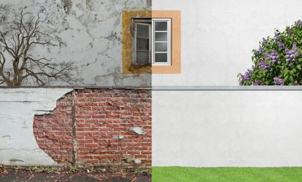 Best Environmental Consulting for Mold Prevention  in Woodville, OH